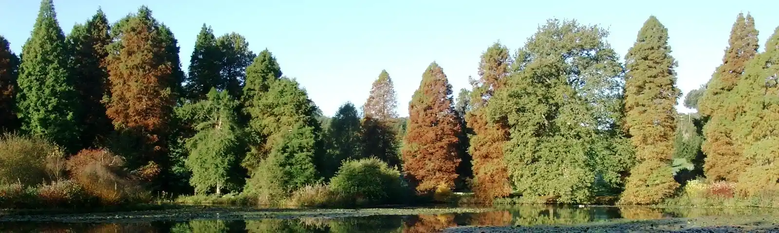Autumn 06 0018.JPG