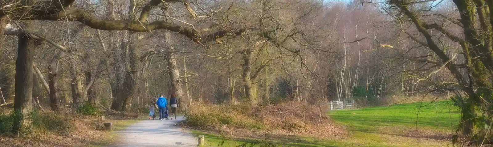 Shorne Country Park Banner On A Sunny March Day David Lewis