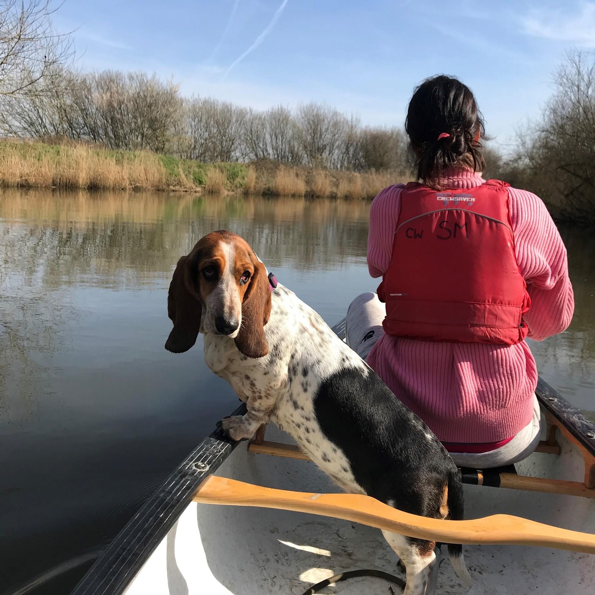 places to visit in kent with a dog