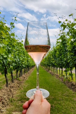 LRM EXPORT 896872971196099 20190807 105150324