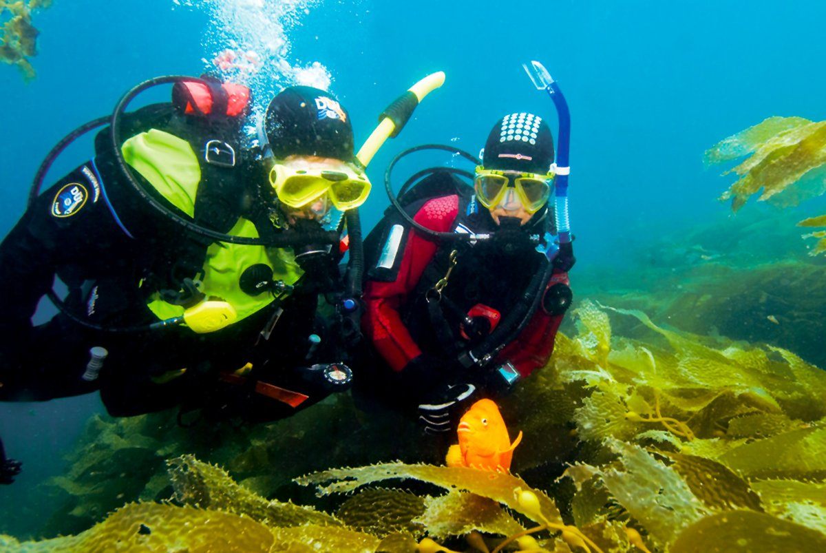 Thanet Sub Aqua Club BSAC 106   Kent Scuba 02 