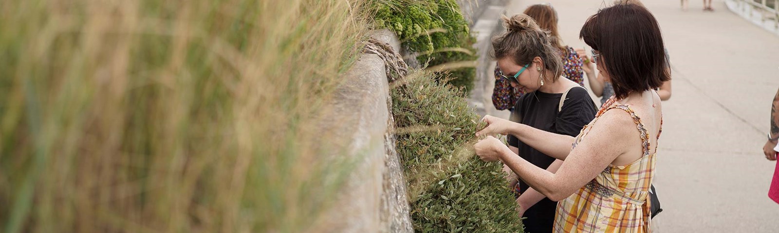 Foraging