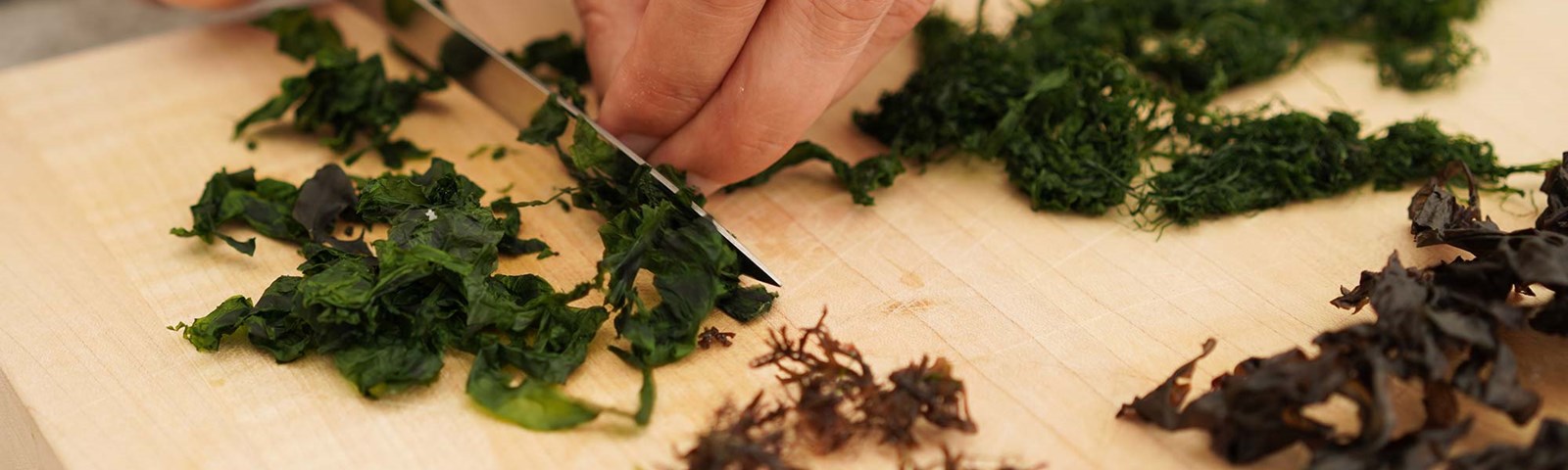 Doctor Forager Cutting