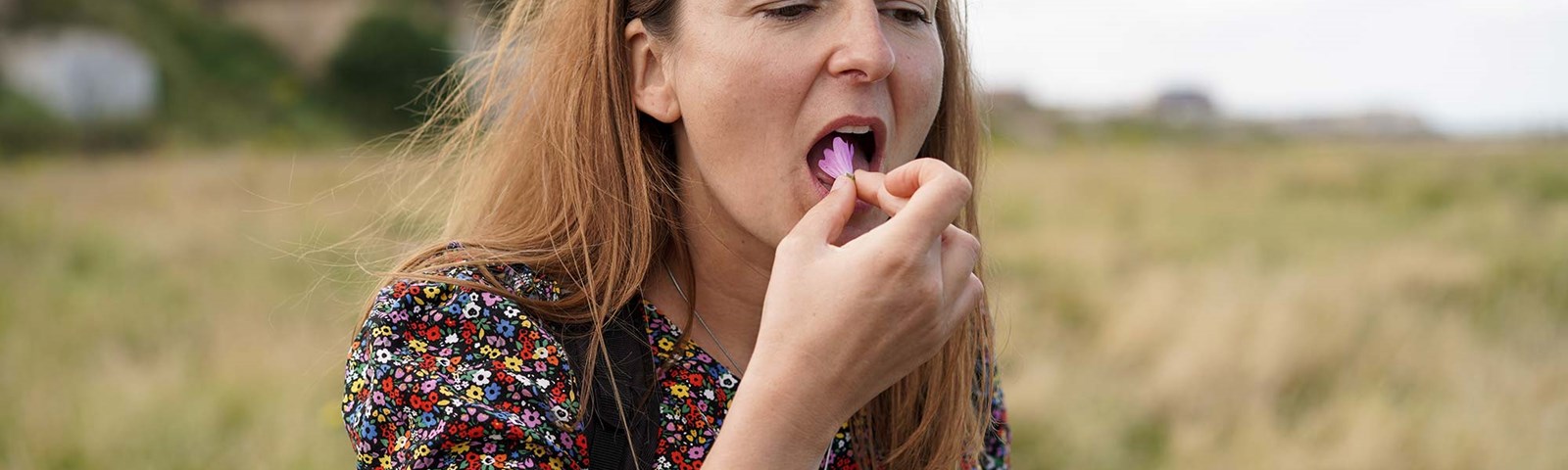 Doctor Forager Tasting